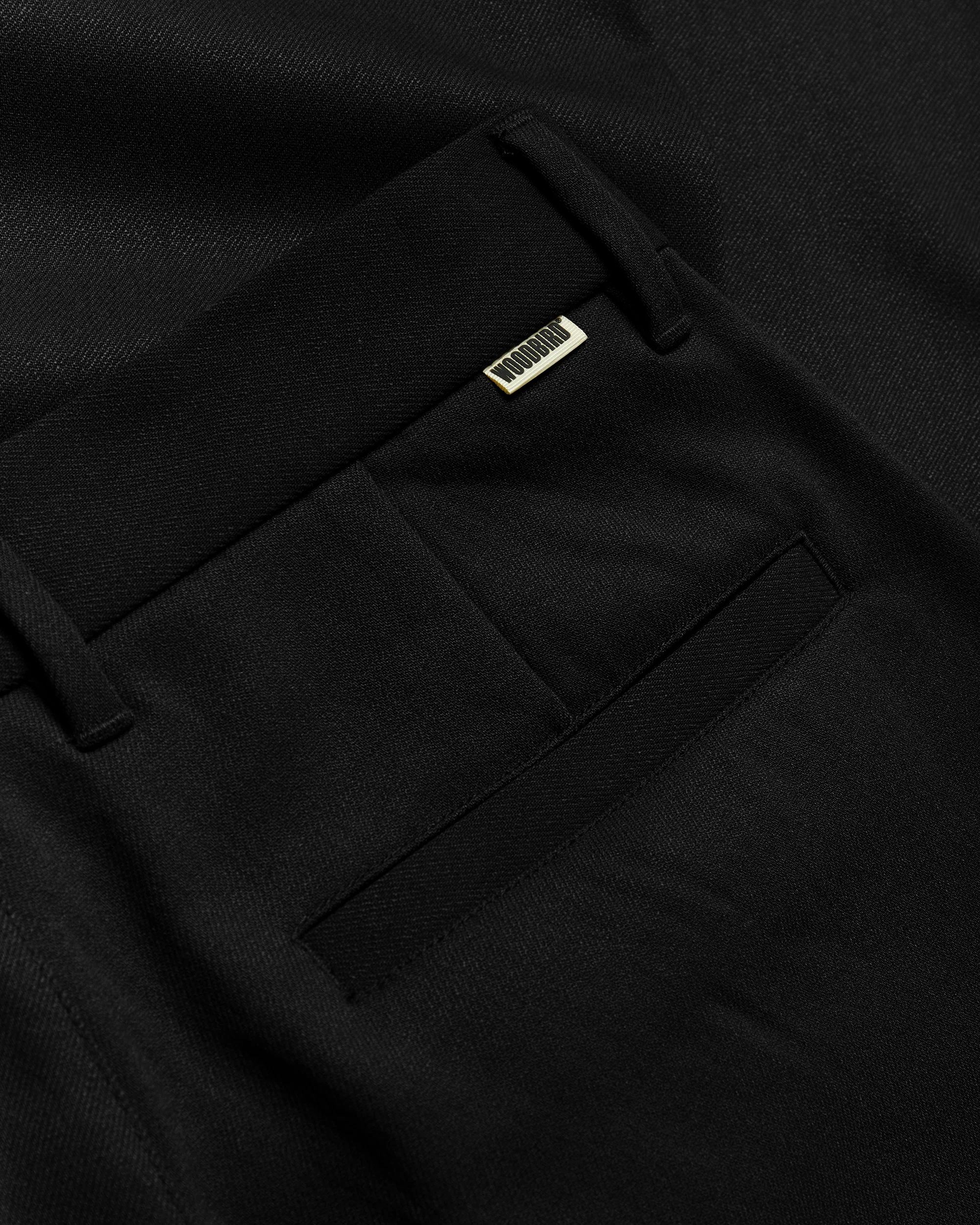 WBRick Nickle Pant - Image 4