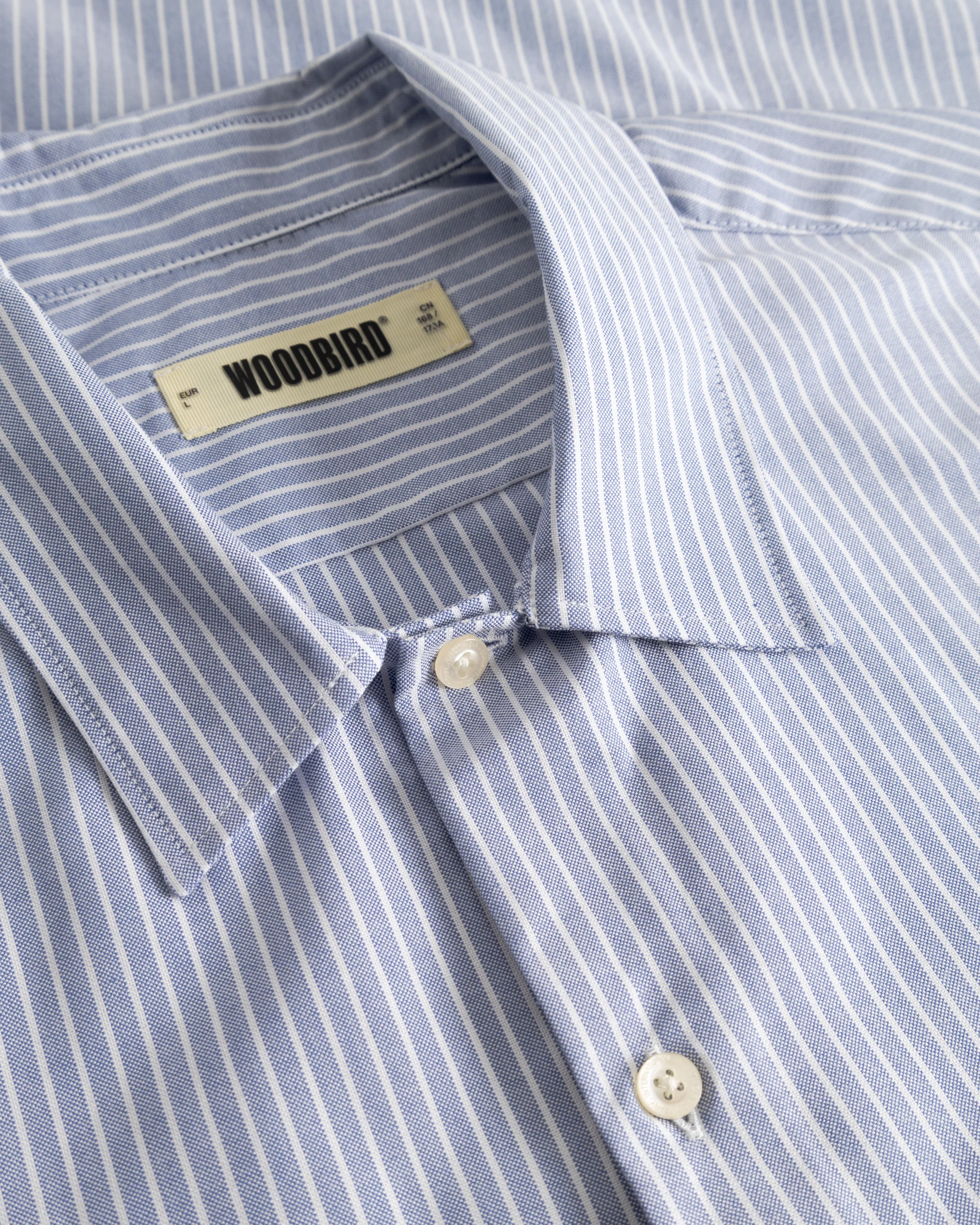 WBWang Ox Flower Shirt - Image 6