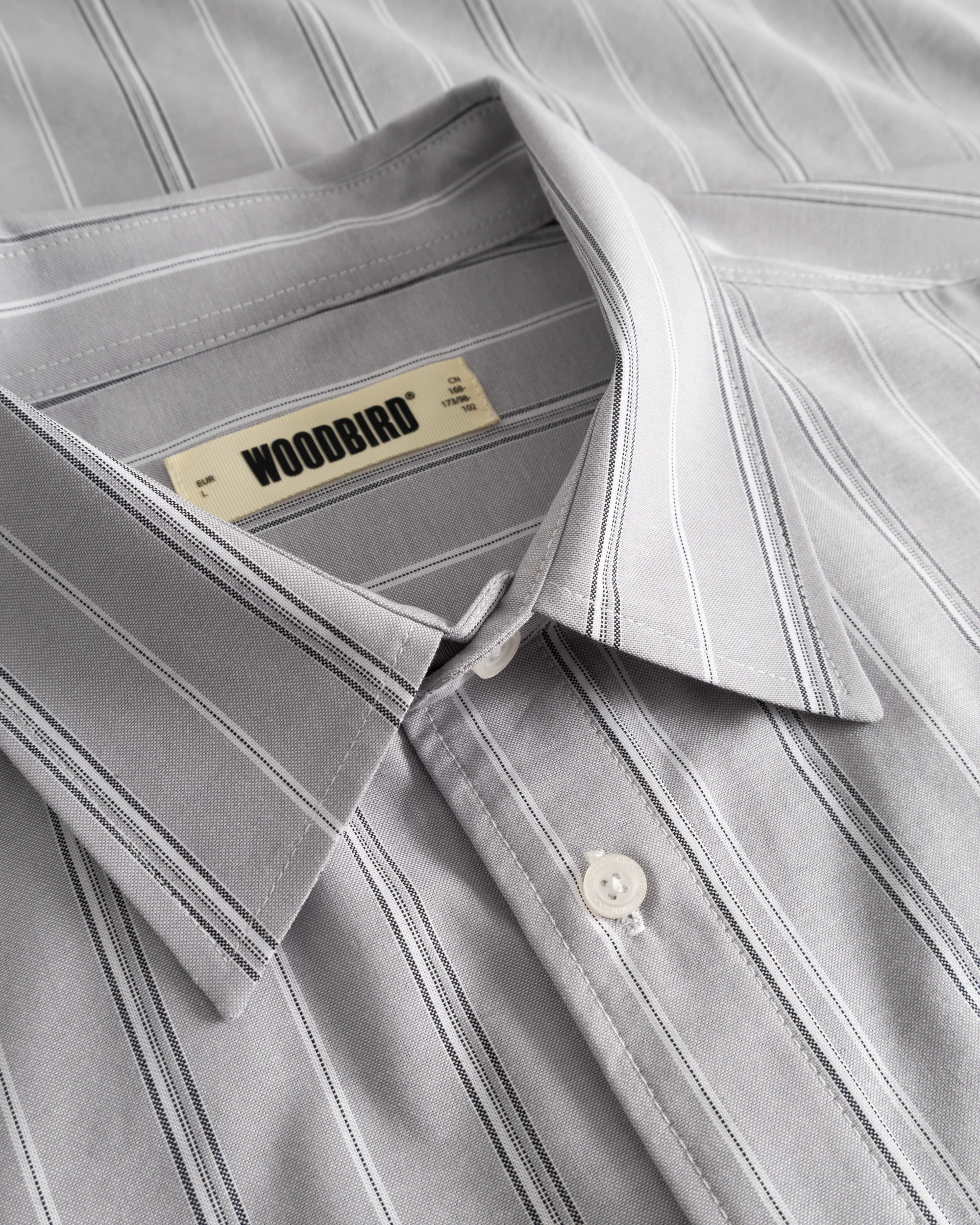 WBBuzo Big Stripe Shirt - Image 6