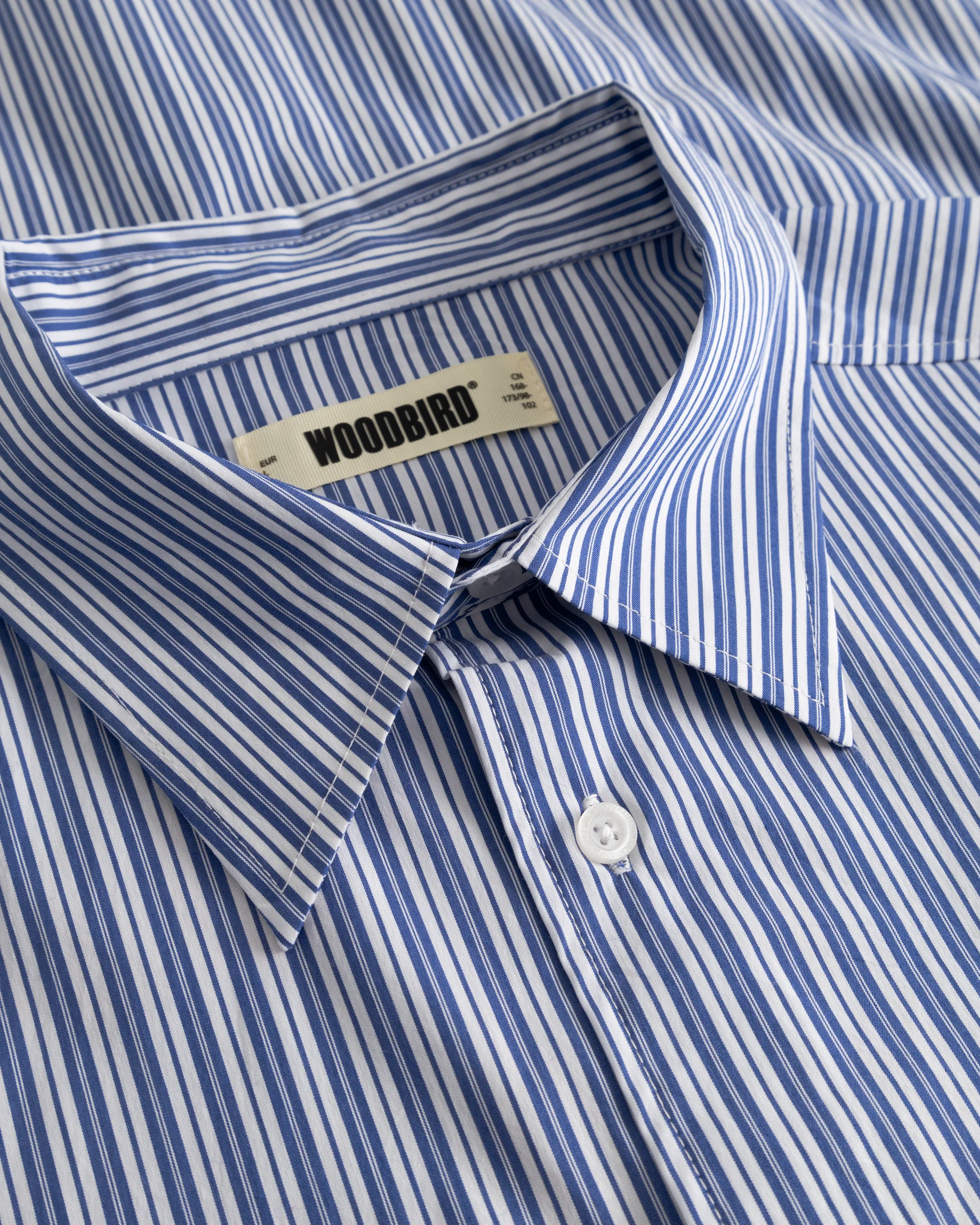 WBBrooks Lion Shirt - Image 6