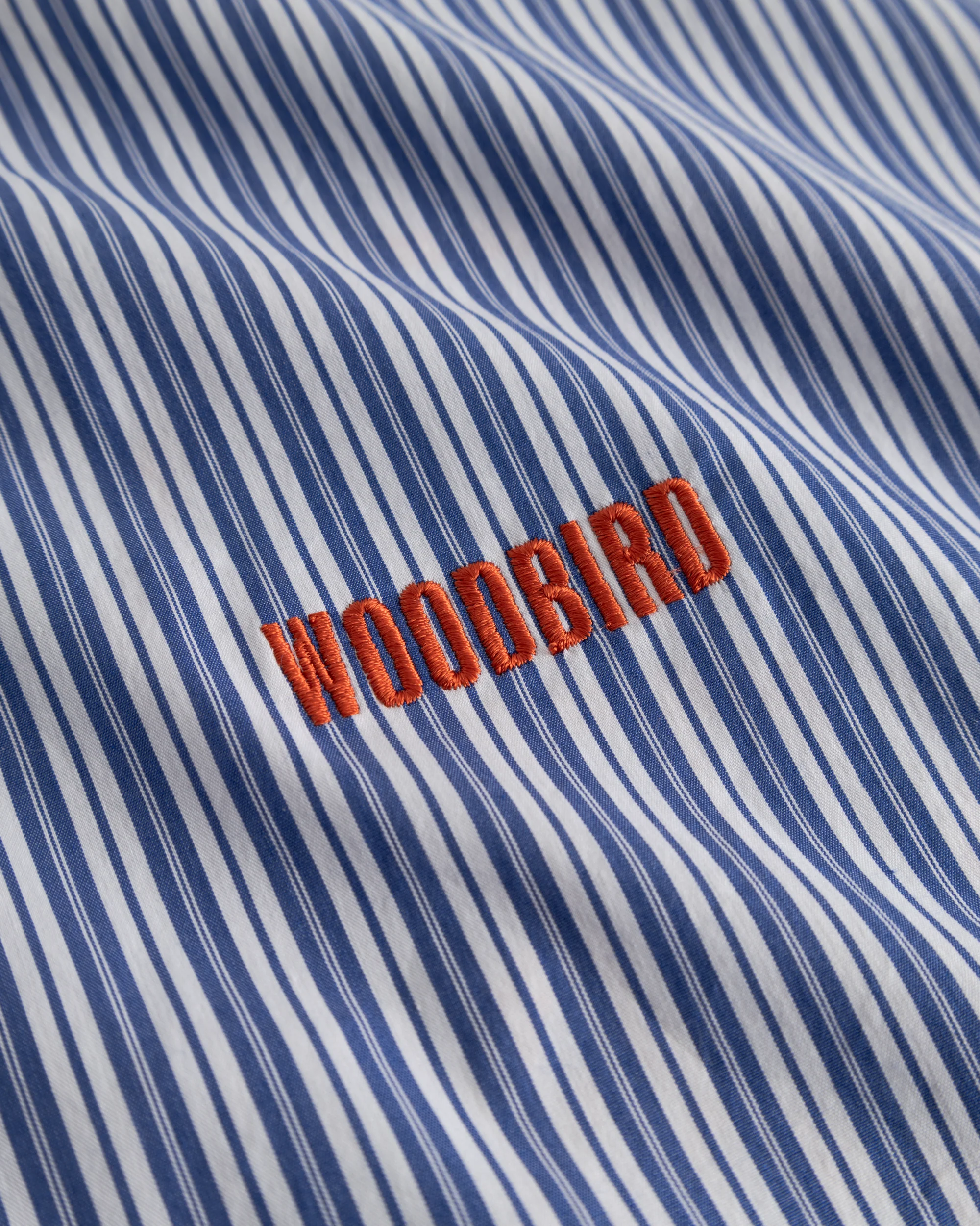 WBBrooks Lion Shirt - Image 7